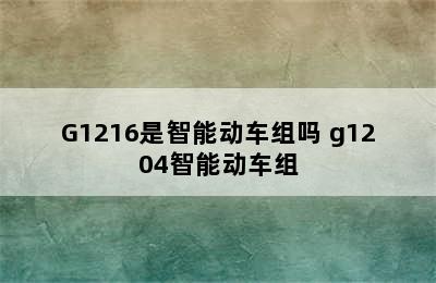 G1216是智能动车组吗 g1204智能动车组